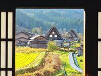 Shirakawa-5.jpeg