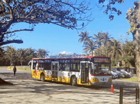 trip-16.png trip-16.png