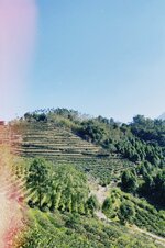 nantou-3.jpeg