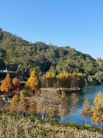 nantou-7.jpeg