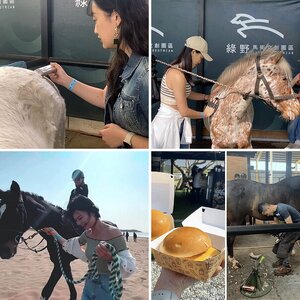 {新北騎馬}浪漫在沙灘上騎馬&眾多美食盛宴的極致享受!|綠野馬術嘉年華 IG:shisenn0323_