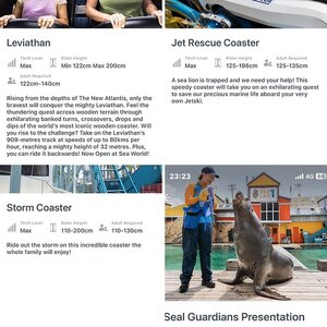 #國外遊記 #Sea World必玩設施 #Sea World必看表演 #Gold Coast樂園 #黃金海岸樂園遊玩攻略 #澳洲旅遊分享 #澳洲遊樂園