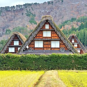 Shirakawa-6.jpeg