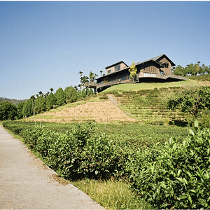 nantou-2.png