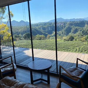 nantou-4.jpeg