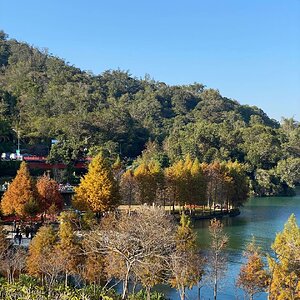 nantou-7.jpeg